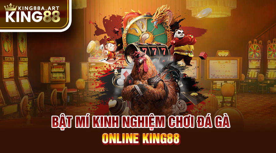 Bật mí kinh nghiệm chơi đá gà online King88