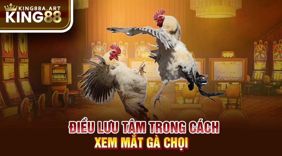 Điều lưu tâm trong cách xem mắt gà chọi