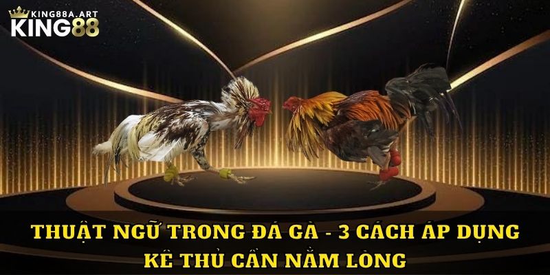 Thuật ngữ trong đá gà 3 cách áp dụng để chiến thắng